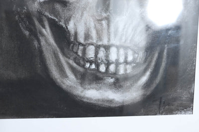 Charcoal on Paper of Skull by Thomas