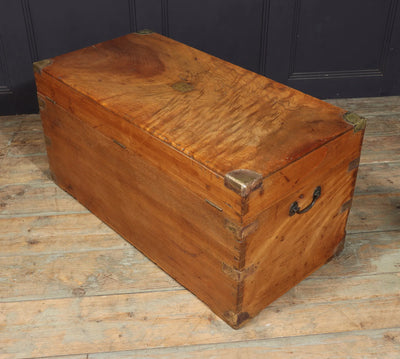 English Antique Camphor Wood Box